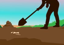 24 Harry Hogan – Digging More Bones