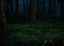 25 Harry Hogan – Blue Moon Ghost