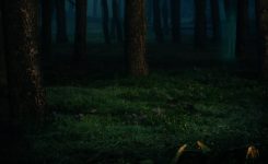 Harry Hogan 25 – Blue Moon Ghost Harry Hogan 25 – Blue Moon Ghost