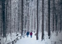 29 Harry Hogan – Aliens Among Us