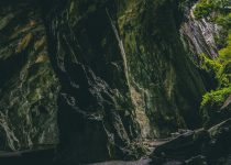 31 Harry Hogan – Paddy’s Ghost