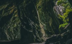 Harry Hogan 31 – Paddy’s Ghost Harry Hogan 31 – Paddy’s Ghost