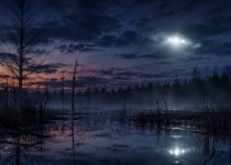 44 Harry Hogan – Swamp Ghost