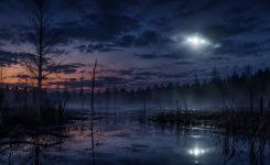 Haunted Marsh Under a Glowing Sky