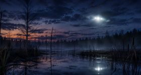 44 Harry Hogan – Swamp Ghost