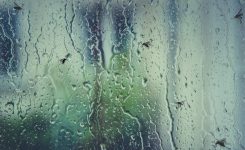 Heading Out Part 2 Heading Out Part 2