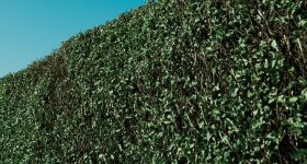 Fences Make Good Neighbours