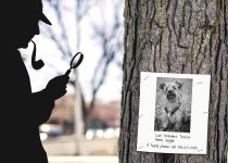 31 Rock Tuff, P.I.: Huggie and the Psychic