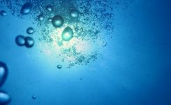 I Had Company I Had Company