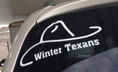 Winter Texans