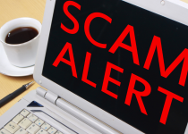 2. Divine Diva Duped