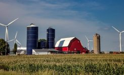 Farm in a field in Iowa Farm in a field in Iowa