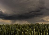 5. It’s An Ill Wind That Blows No Good