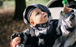 Little boy in a stroller