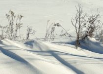 For The Advent Of Winter