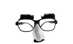 Groucho Marx-style eye brows, glasses, nose, and moustache