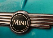 A Tribute to Trevor: A Character Study