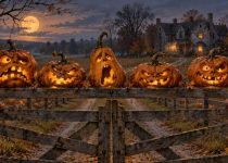 Ugly Pumpkins