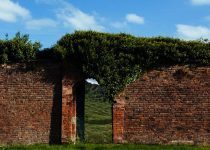 Mrs. Rebecca Harding Davis Beholds The Promised Land