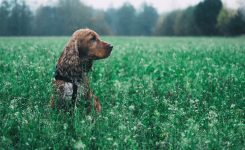 My First Friend My First Friend