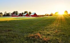 O, how I love thee O, how I love thee