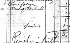 How Much Did I Cost?