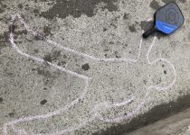 Courting Danger: A pickle ball mystery