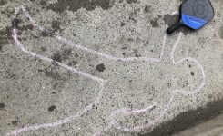 Pickle Ball Casualty