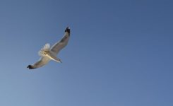 Poetic Justice Poetic Justice