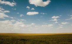 Prairie Call Prairie Call