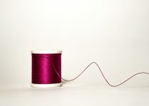 26. Hobbies and Interests