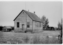 4. Rosebush at War 1941