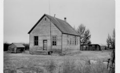 Rosebush at War 1941