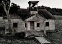 3. Rosebush – 1941 to 2019