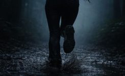 Running through the foggy forest