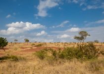 7. Salisbury to Darwendale, Southern Rhodesia, May 1957