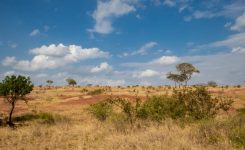 Salisbury to Darwendale, Southern Rhodesia, May 1957