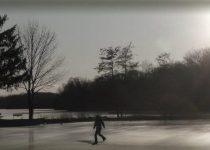 Skating on the Frozen Lake