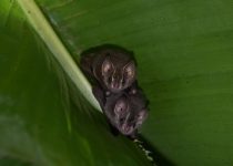 My Storied Childhood (Part II)