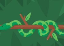 10. Snakes, Snails and Maggots