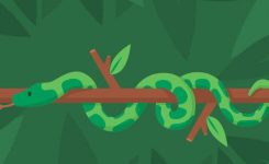 Snakes, Snails and Maggots Snakes, Snails and Maggots