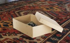 So Little Contact, So Much Connection