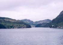 Stepping Back In Time: A Cruise To Trinity Bay’s Abandoned Outports