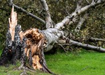 Fractured Tales 26 – Storms