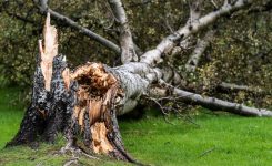 Storm Damage Storm Damage