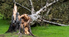 Fractured Tales 26 – Storms