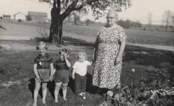 Survivors Every One Survivors Every One