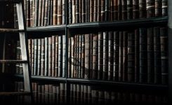 The Battle Of The Bylaws The Battle Of The Bylaws