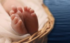 The Blue Island The Blue Island