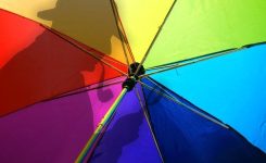 The Bumbershoot Museum